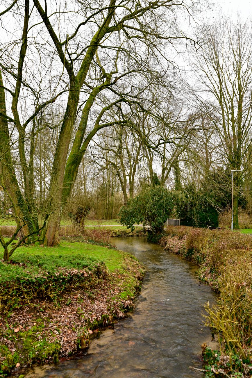 Part 7: Go and Hide Yourself — Trusting God With the&nbsp;Unknown